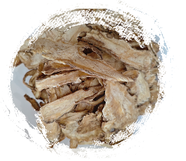 ¿Qué hace que las plantas de la MTC sean tan eficaces? Características explicadas