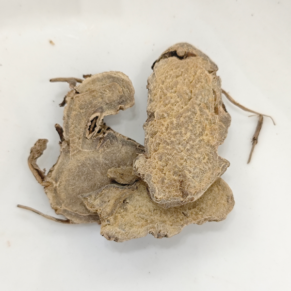 Cúrcuma aerugionosa