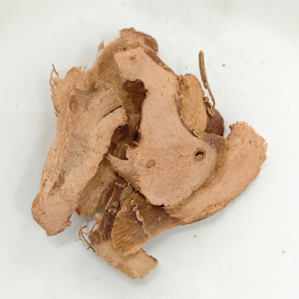 Galanga menor (Kaempferia galanga)