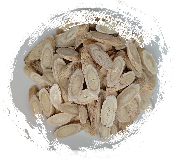 Entendiendo las Plantas MTC: Hierbas Medicinales y sus Usos Tradicionales