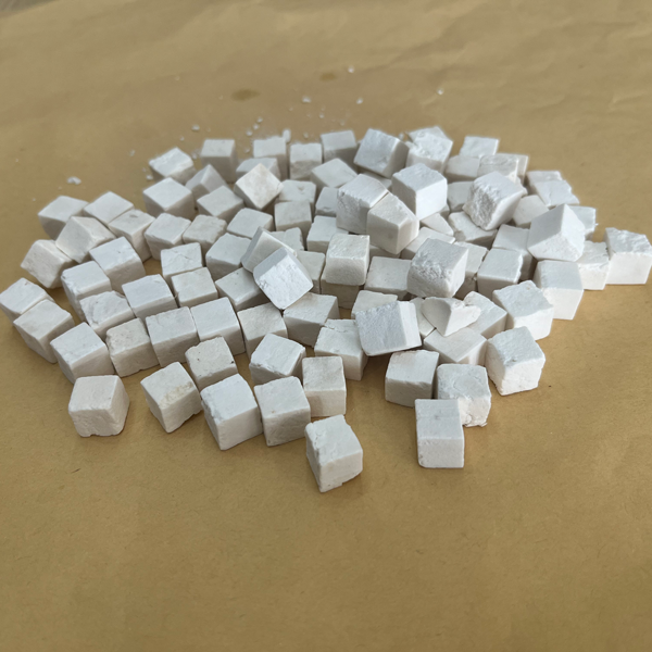 Wolfiporia extensa (un hongo que descompone la madera)