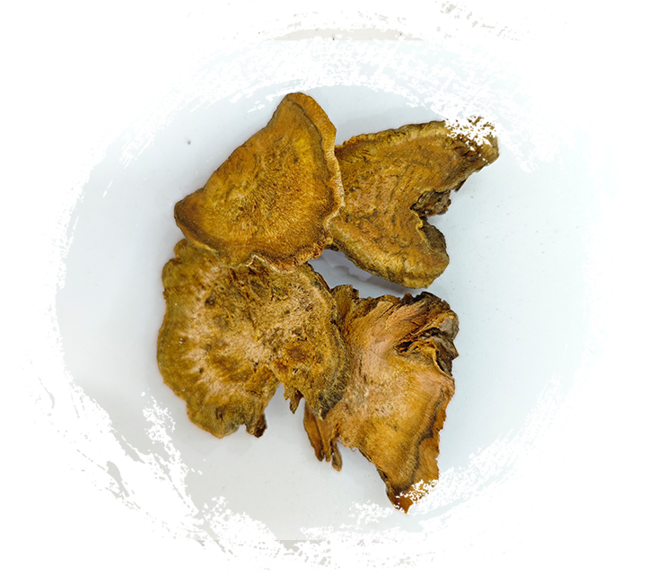 Una inmersión profunda en los usos de las plantas medicinales en la medicina tradicional china