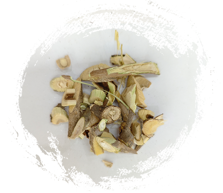 Acanthopanax senticosus (Acanthopanax senticosus)