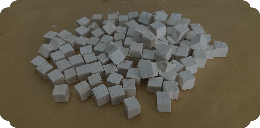 Wolfiporia extensa (un hongo que descompone la madera)