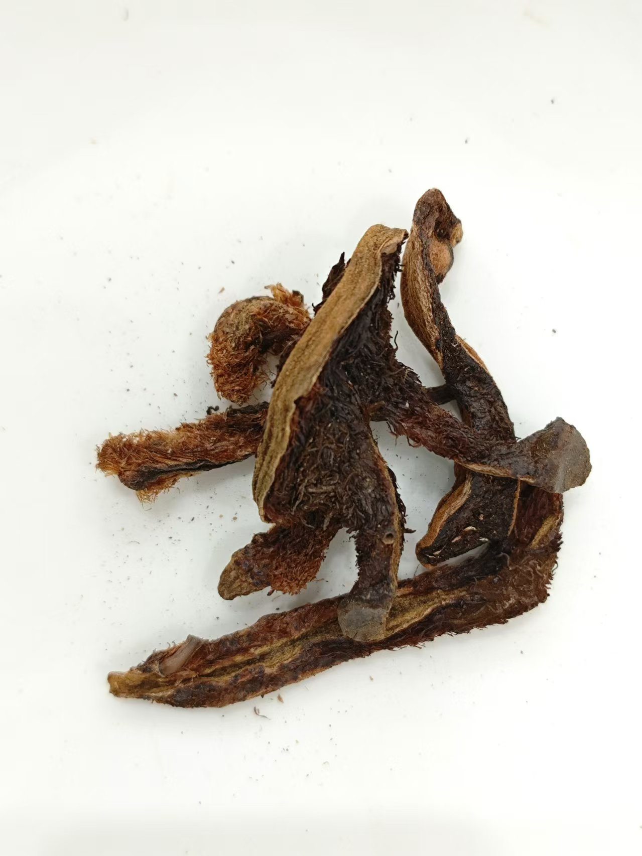 Reparación de fragmentos de huesos