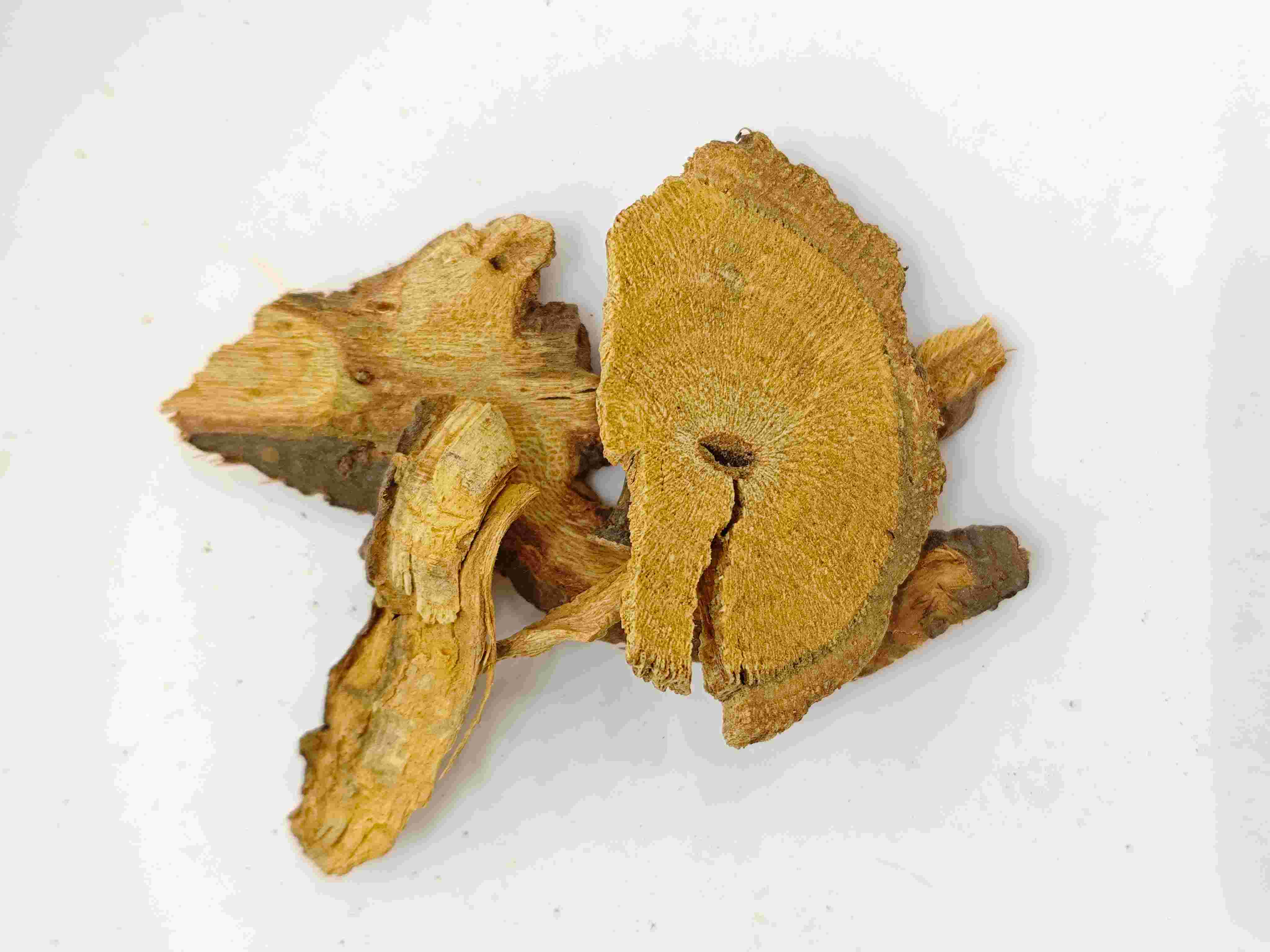 Gemelo japon&eacute;s