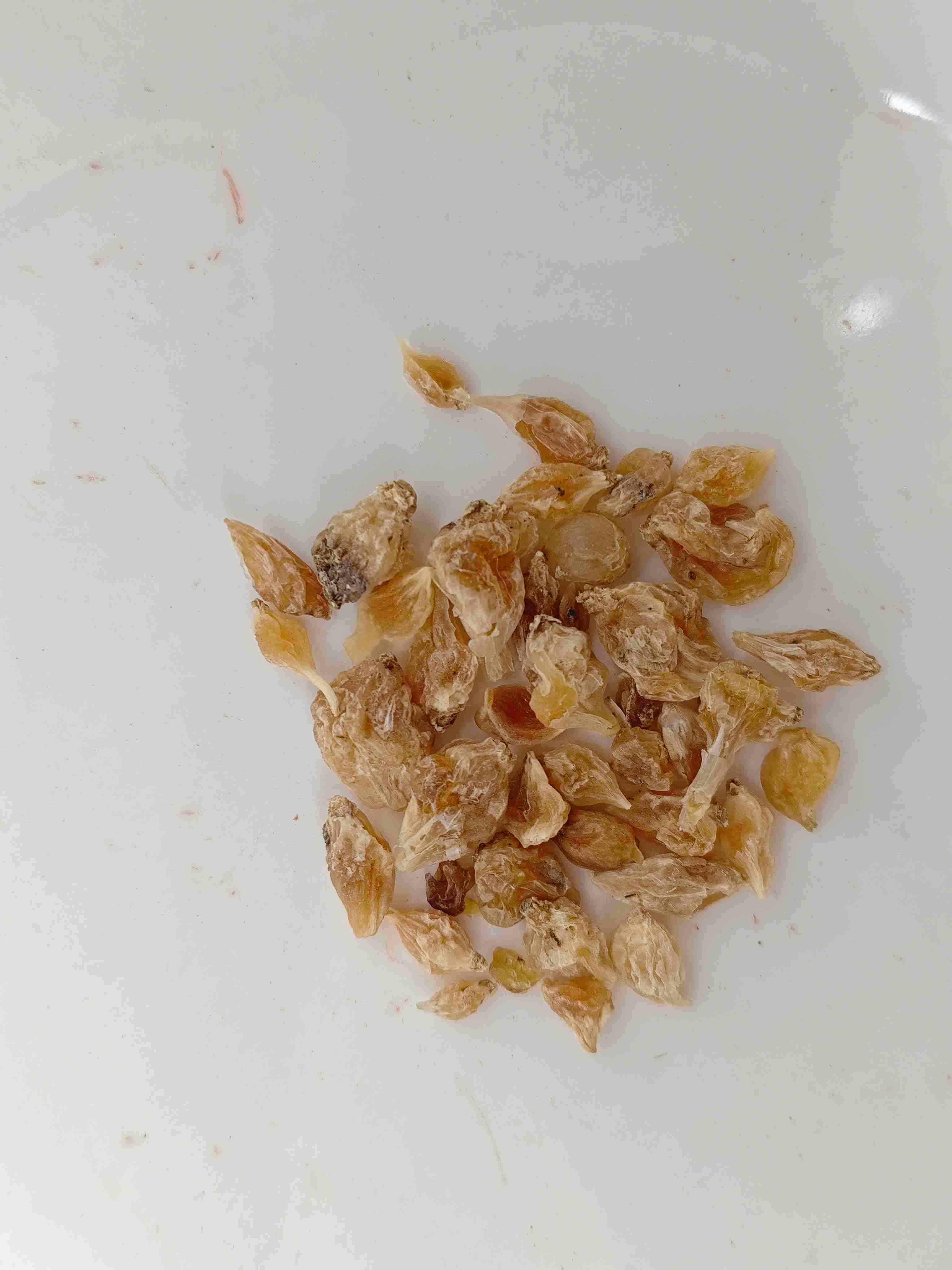 Allium tuber (xiebai)