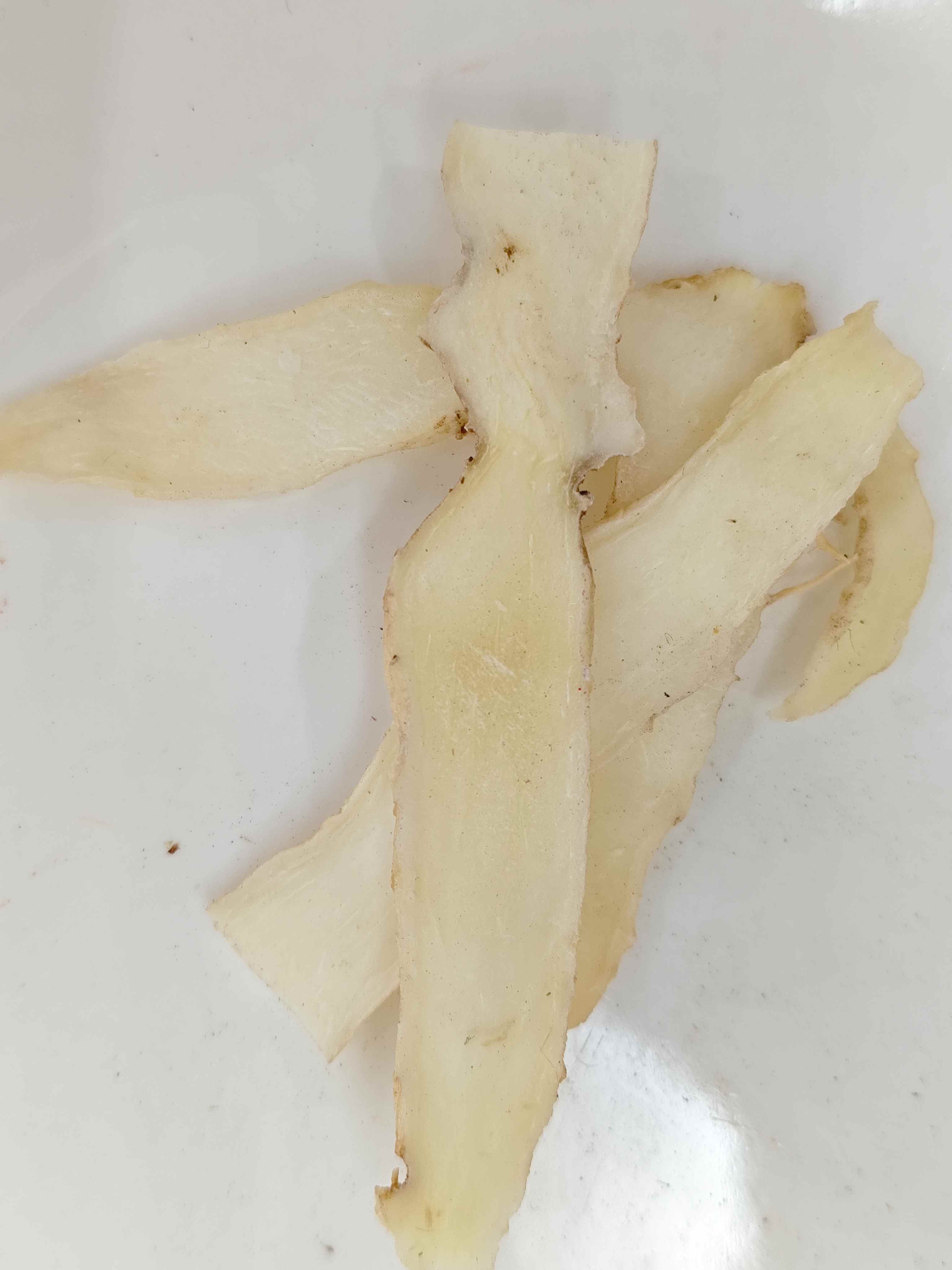 SEAL DE SOLOMON (Yuzhu)