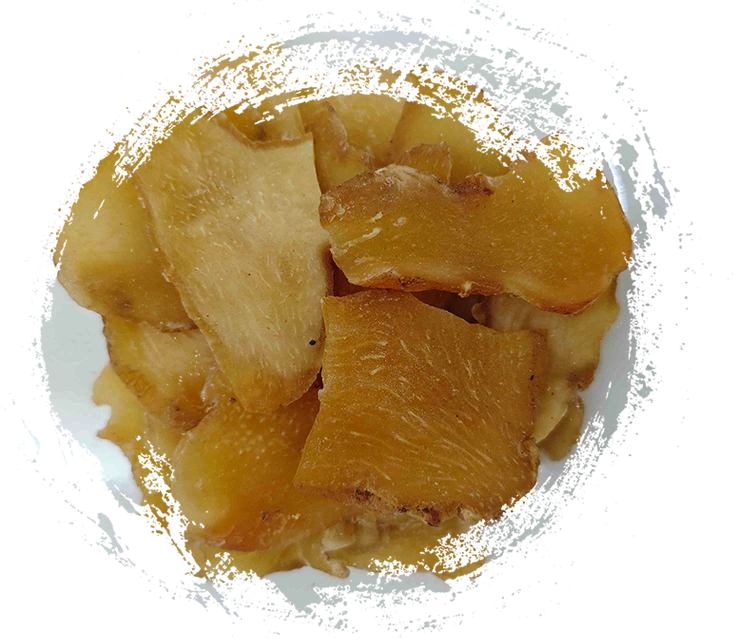 Poligonatum sibiricum