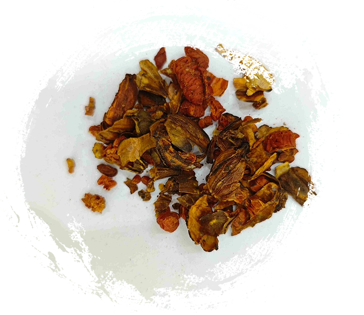 Gardenia quemada, Jiaozhizi