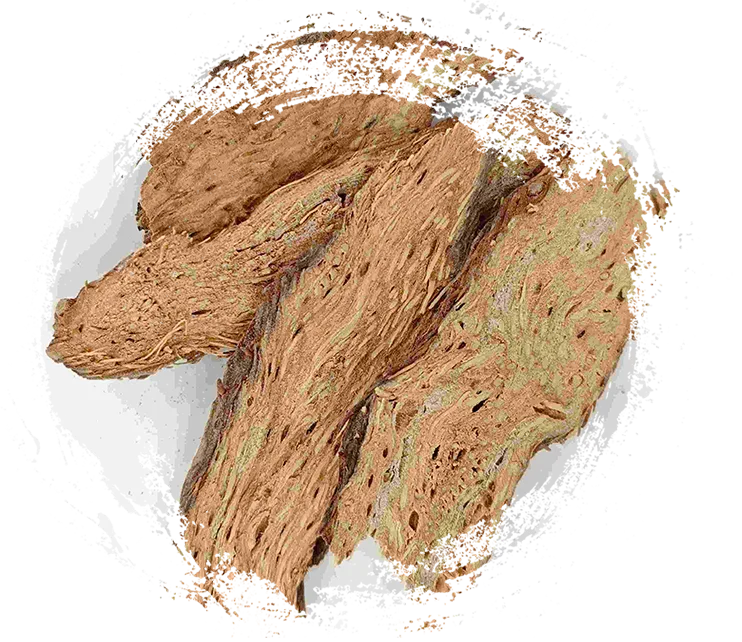 Homalómeno, Qian Nian Jian