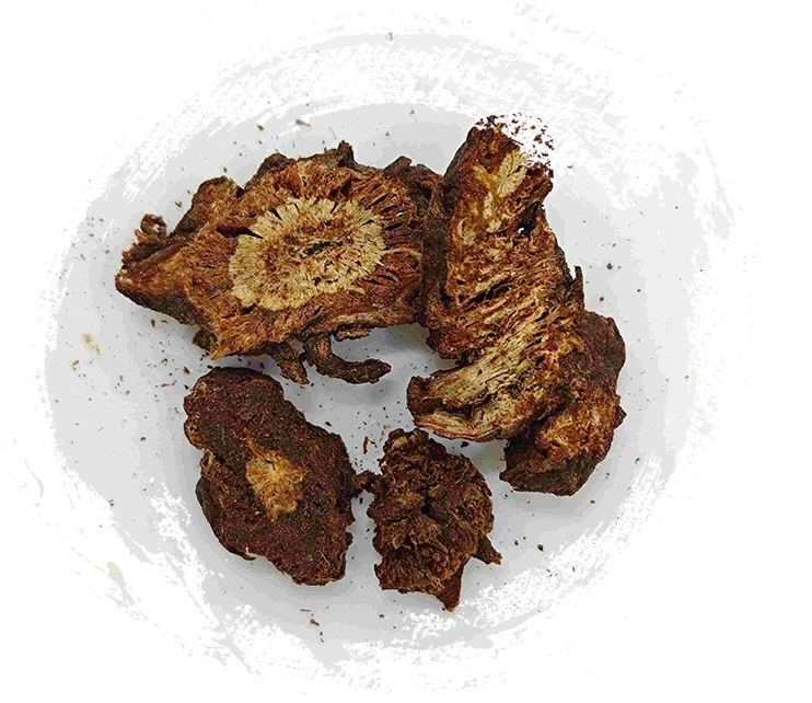 Notopterigio, Qianghuo