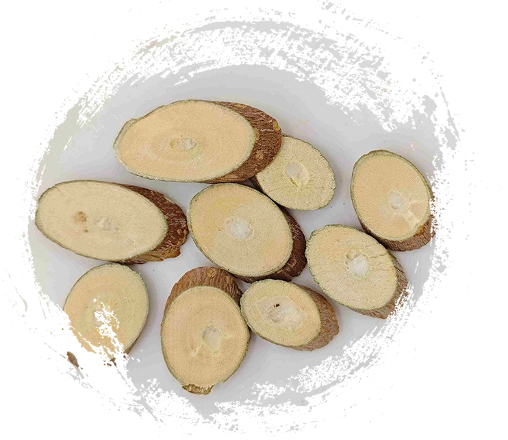 Mulberry Branch (Sangzhi)