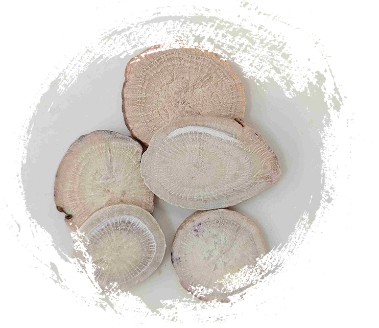 Raíz de peonía blanca (Sheng Baishao)