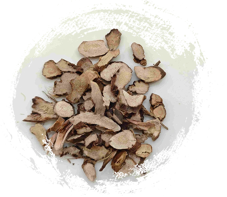 Calamus Rizome (shichangpu)