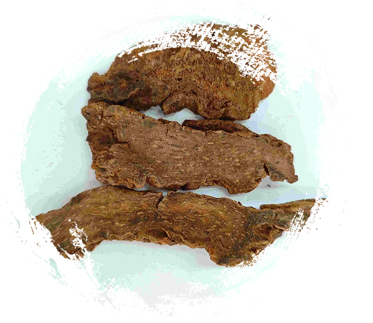 Cynomorium Sgaricum (Suoyang)