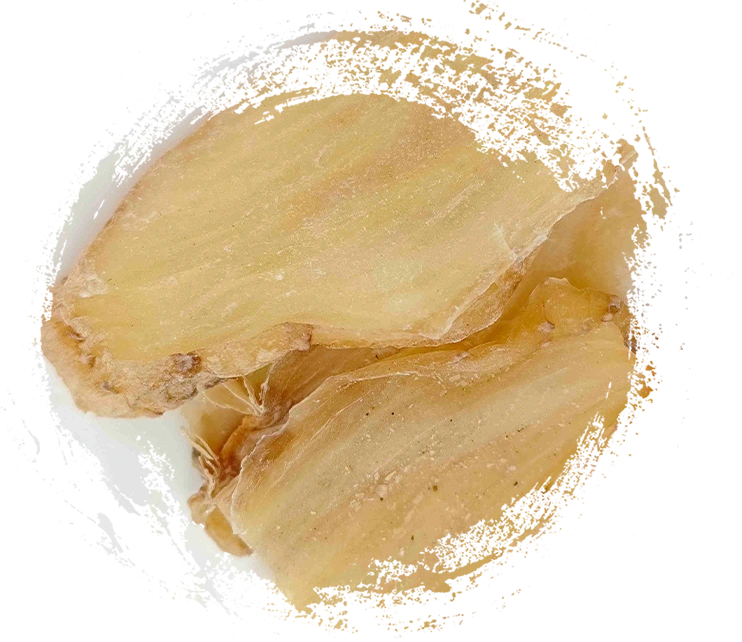 Rizoma de Gastrodia (Tianma)