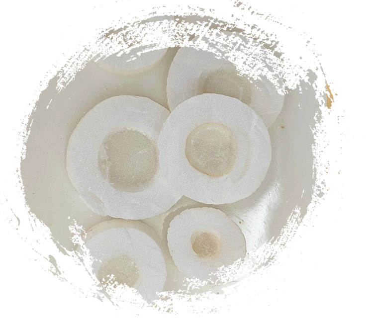 Tungcao Herb (Tongcao)