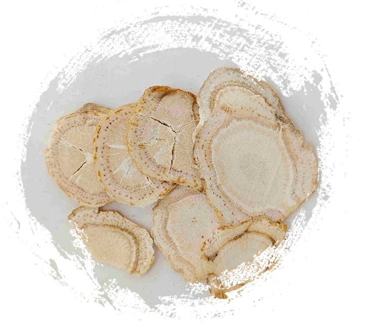 Explorando el poder de la medicina tradicional china con plantas (MTC)