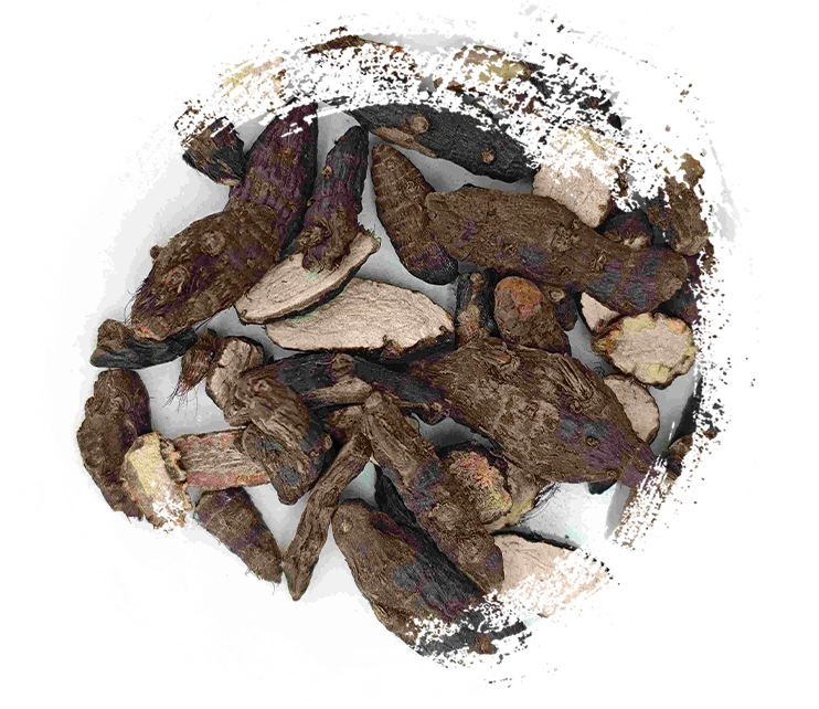 Rizoma de Cyperus (xiangfu)