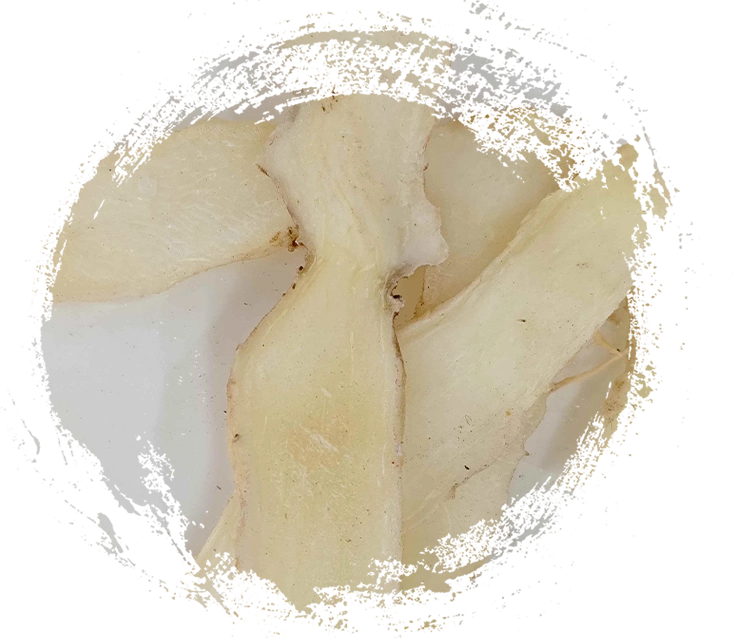 SEAL DE SOLOMON (Yuzhu)