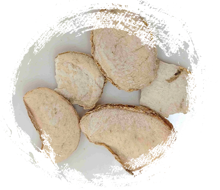 Bulbo Fritillary de Zhejiang (Zhebeimu)