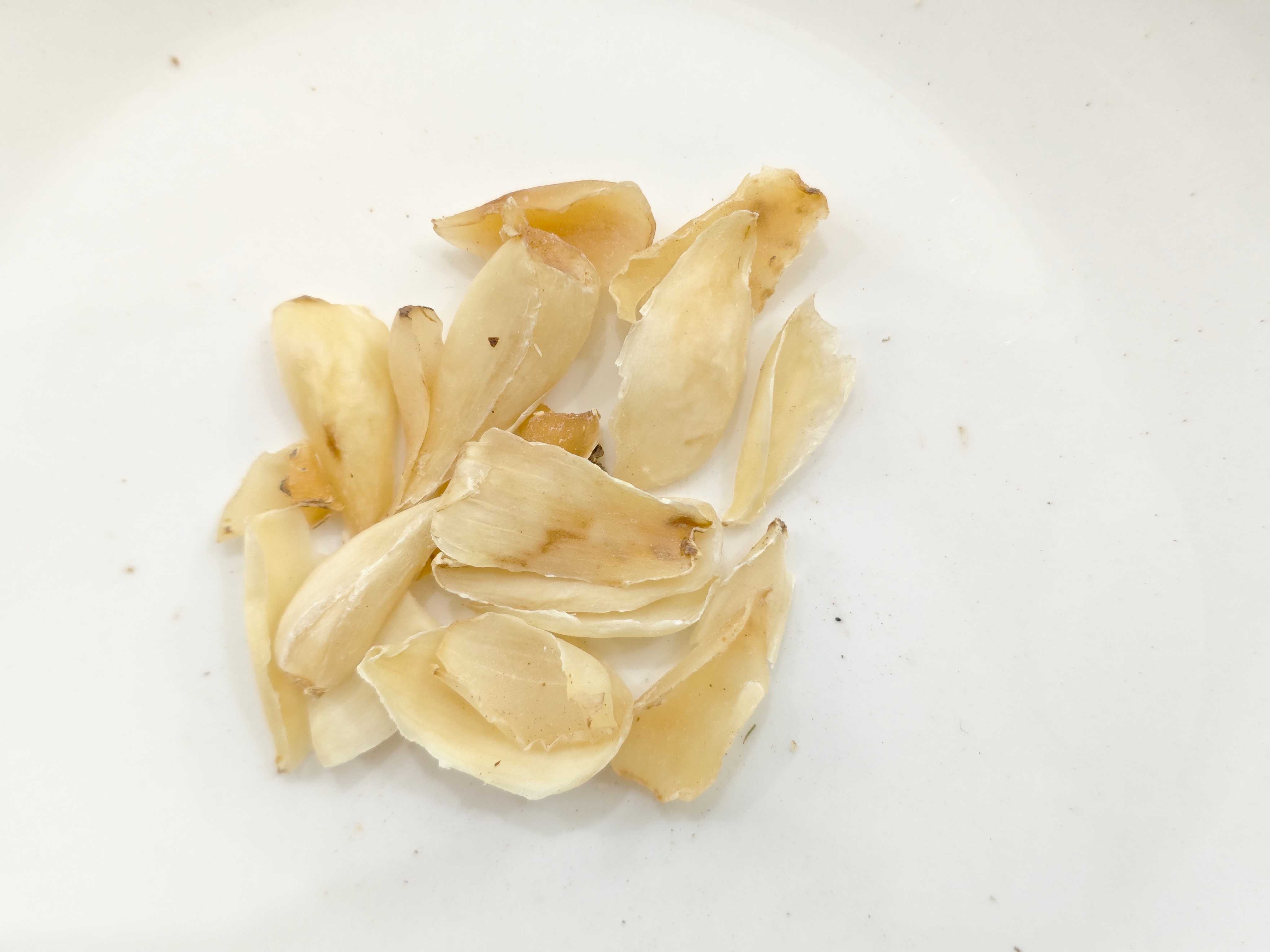 Bulbo de lirio (Baihe)