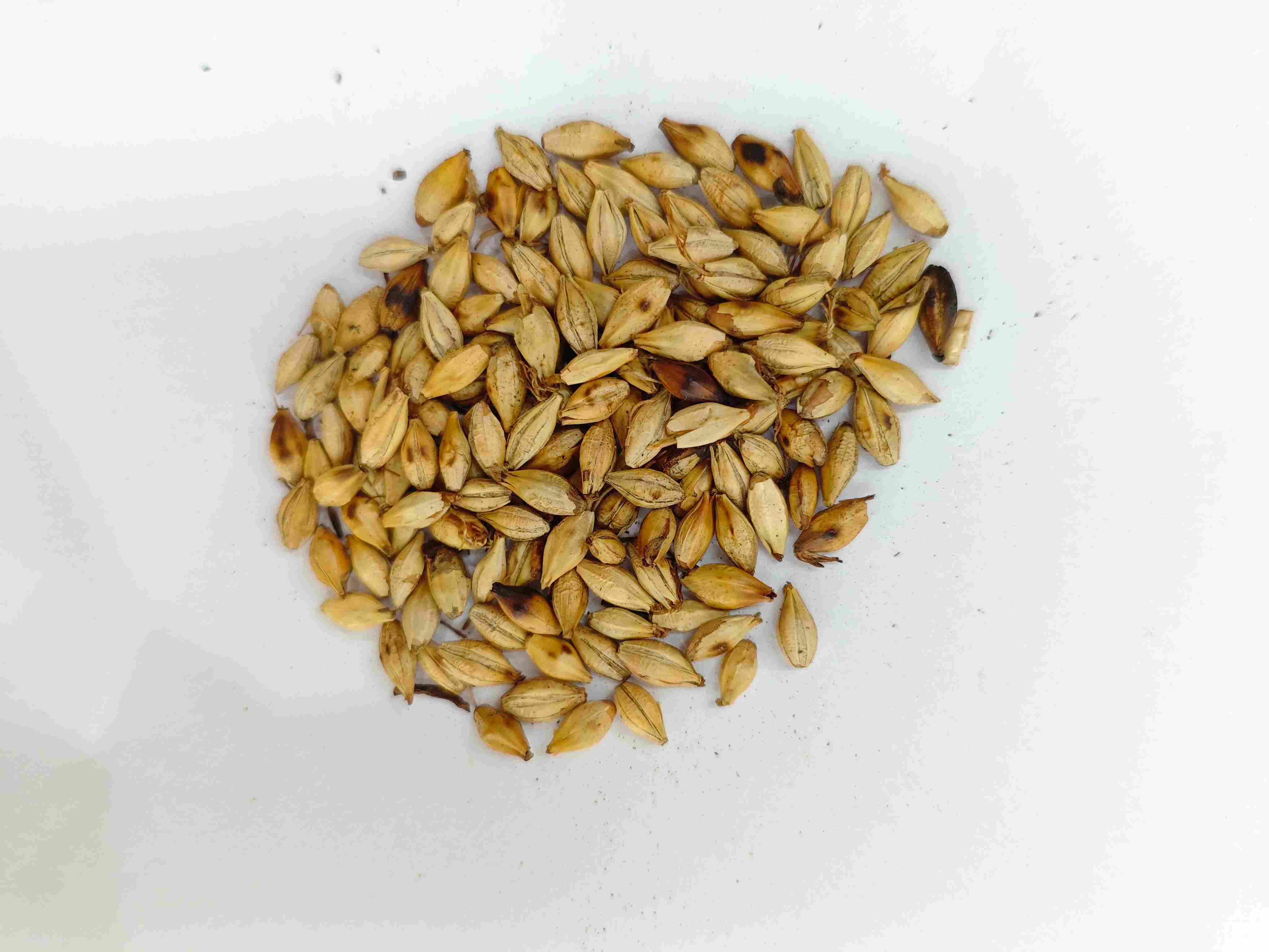 Malt de cebada asada (Chǎo mài yá)