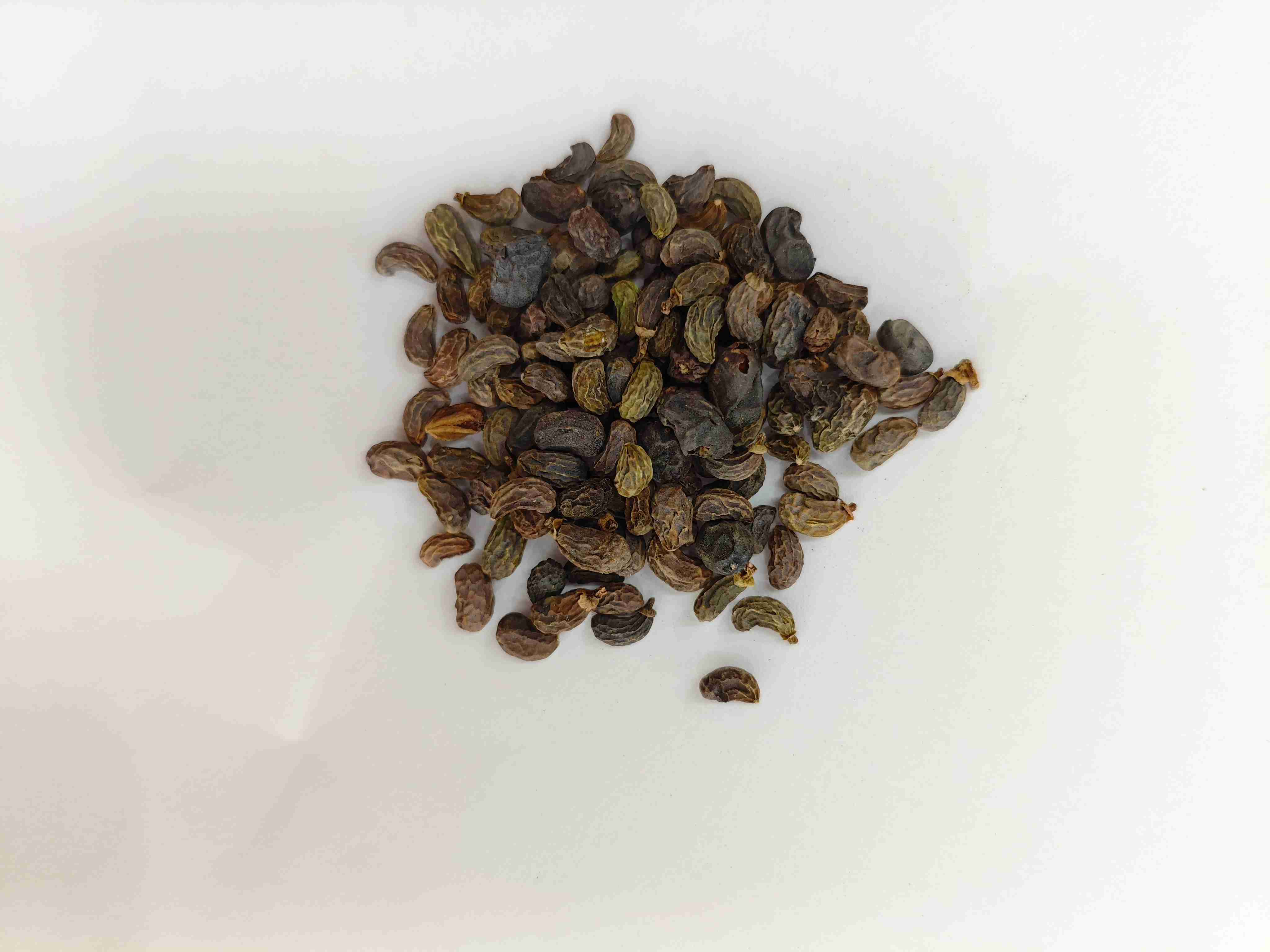 Fruta ligustrum (nǚzhēnzǐ)