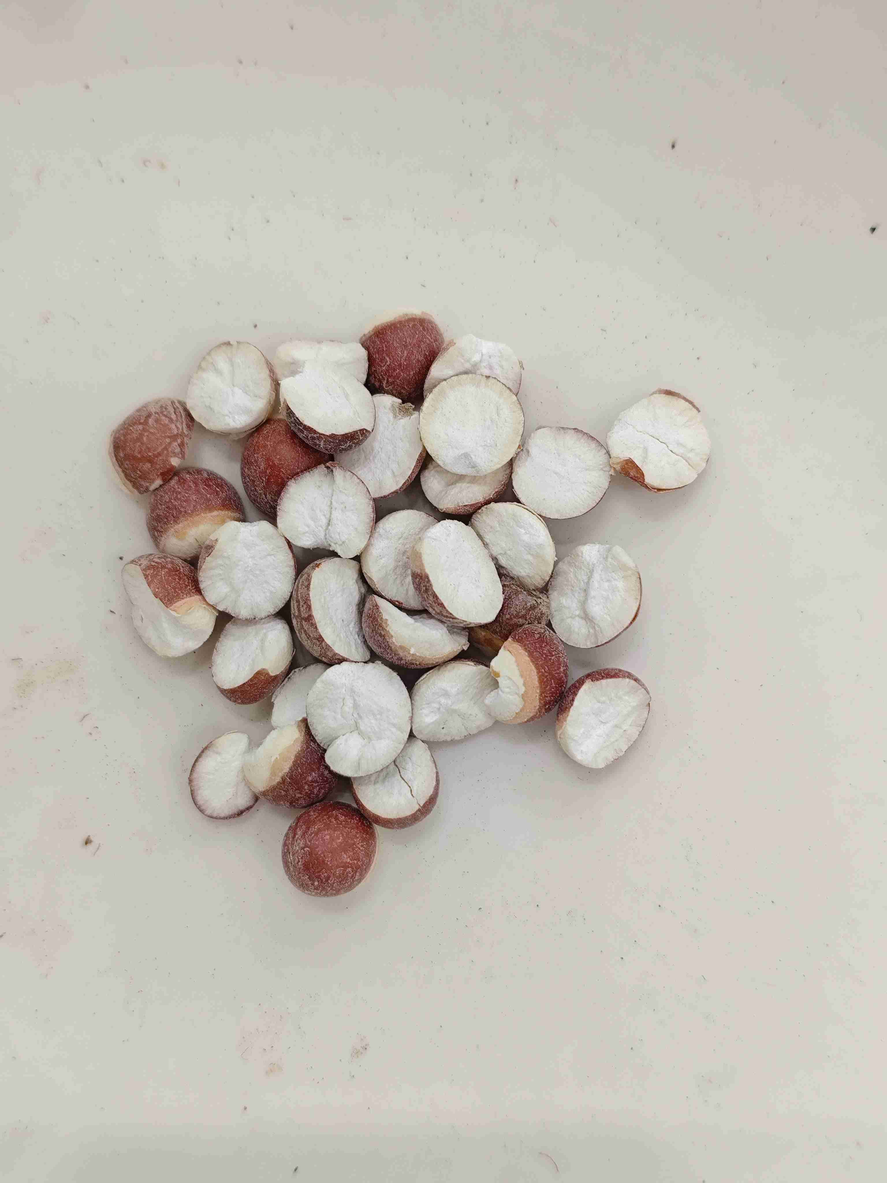 Euryale Seed (Qiànshí)