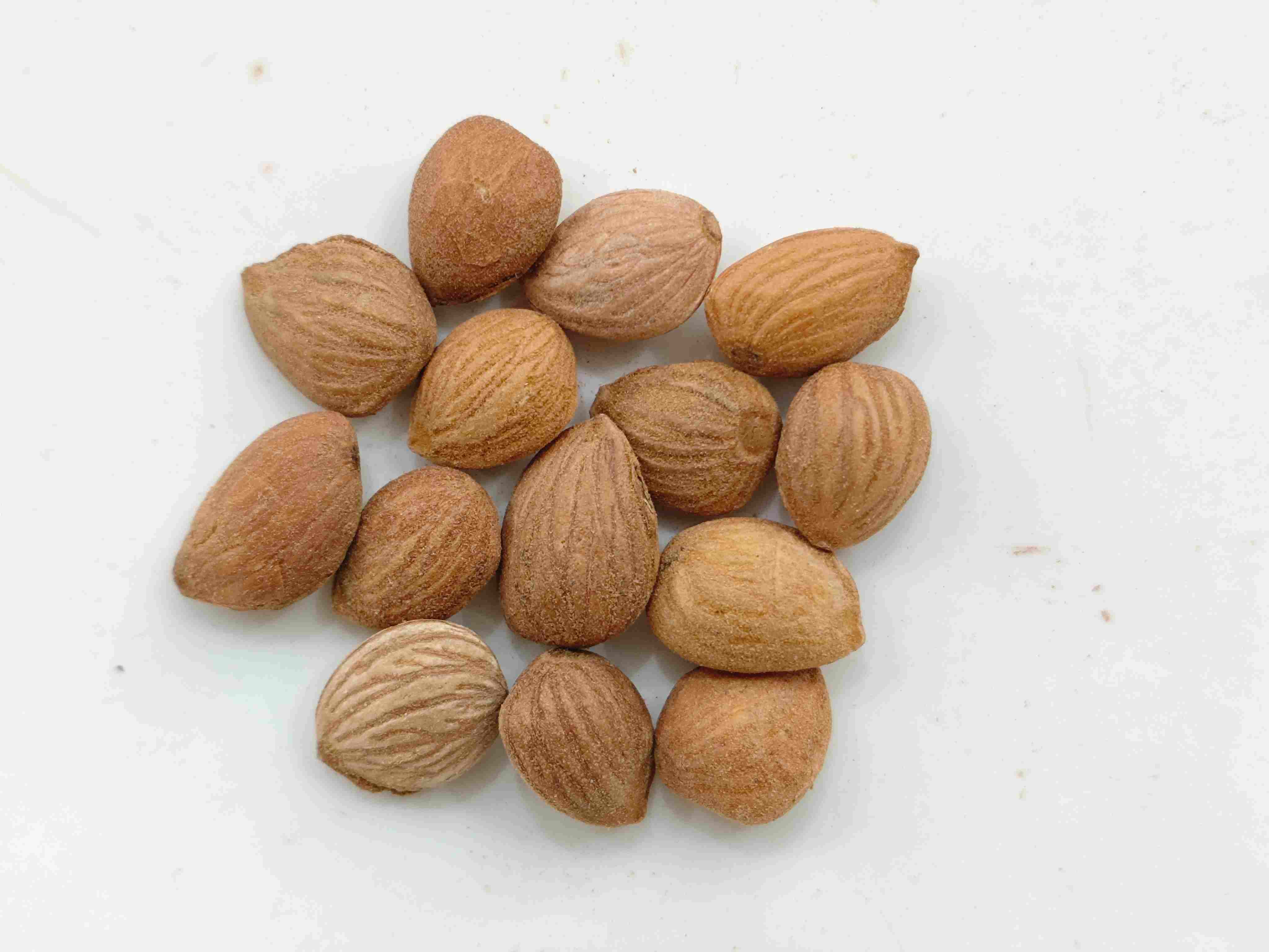 Núcleo de durazno (Táorén)