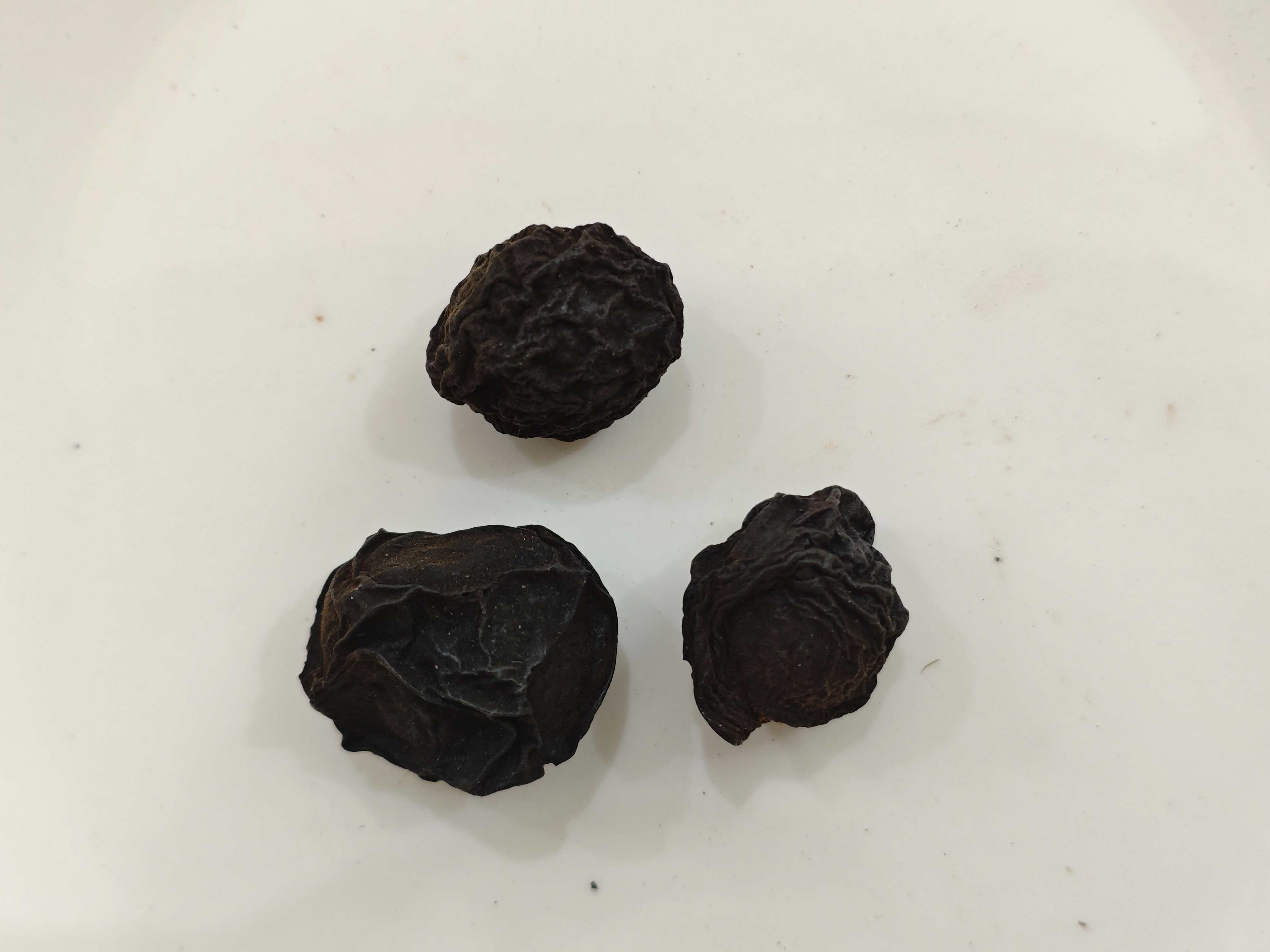 Ciruela china (Wūméi)