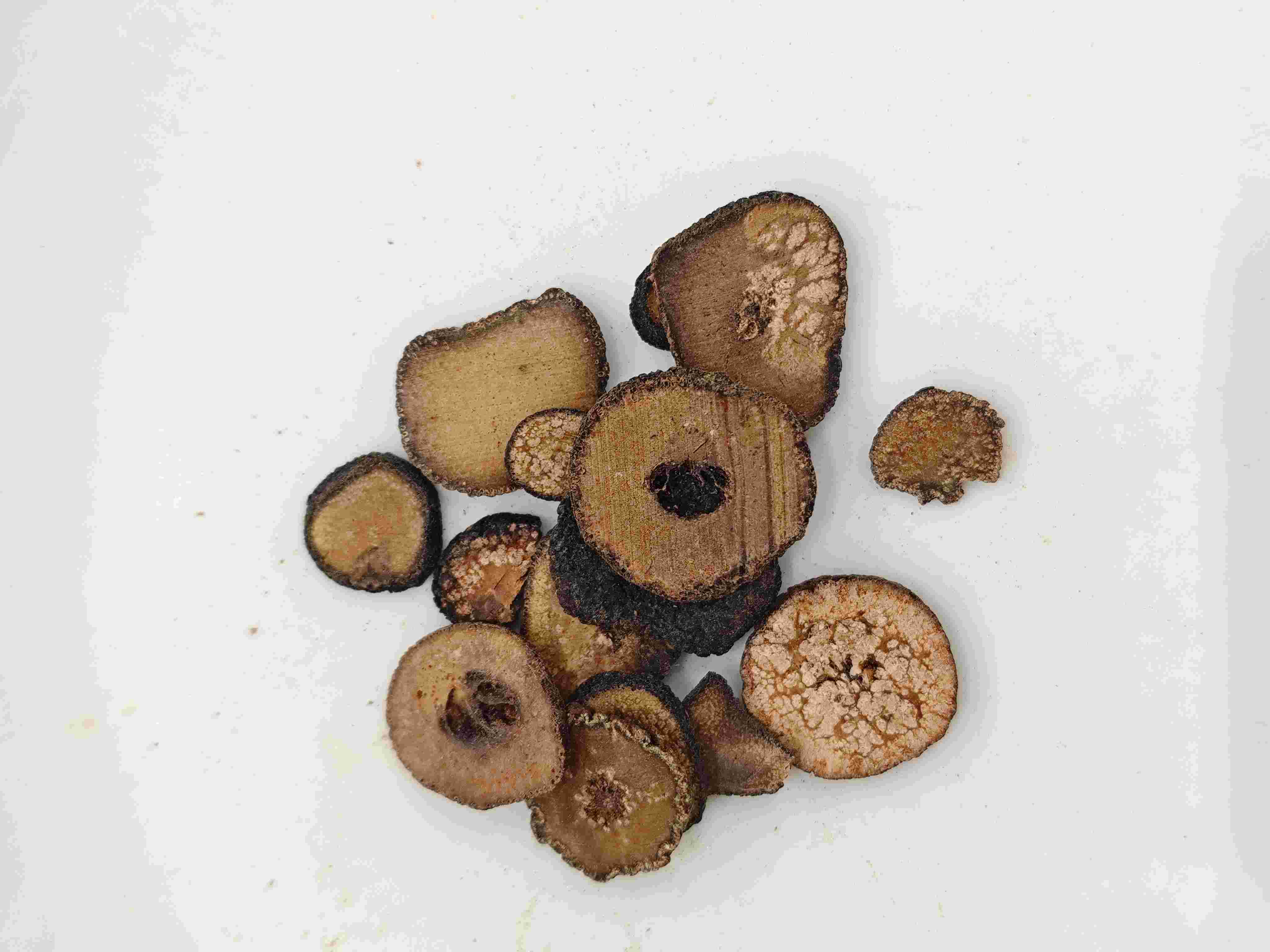 Orange amargo inmaduro (zhǐshí)