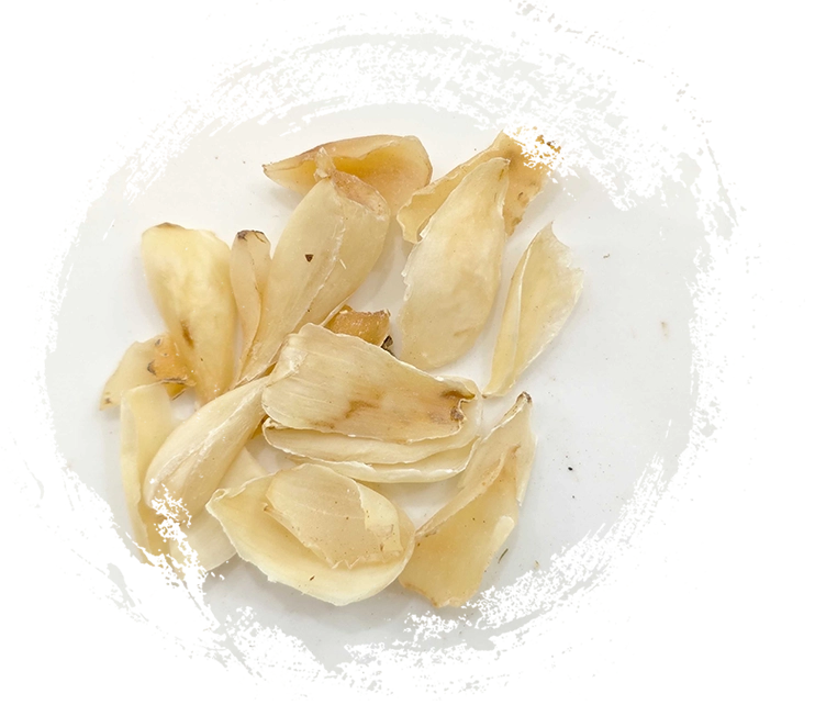 Bulbo de lirio (Baihe)