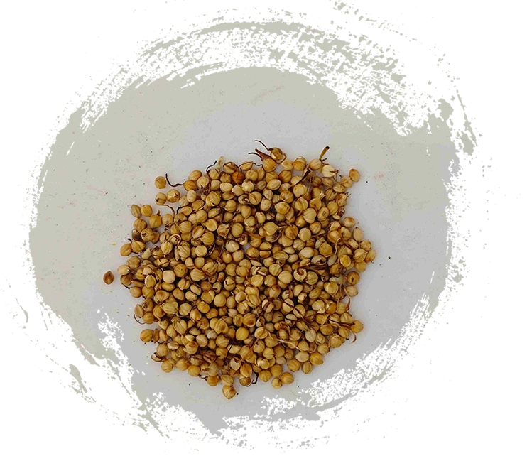 Brote de arroz asado (Chǎo gǔ yá)