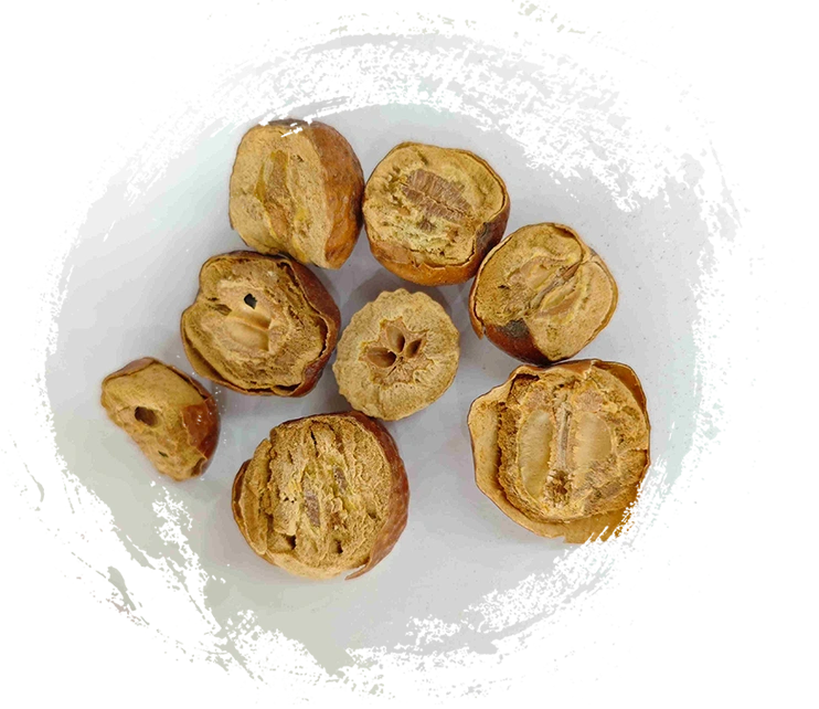 Fruta toosendan (Chuān Lián Zǐ)