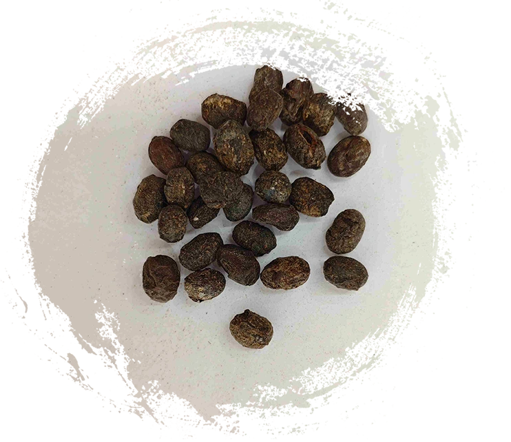 Soja fermentada (dàn dòu chǐ)