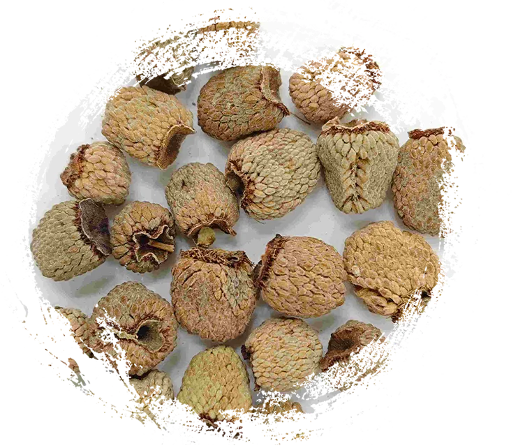 Fruta de frambuesa (fù pén zǐ)