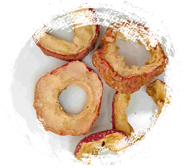 Comprender las funciones de las plantas herbales en la medicina tradicional china