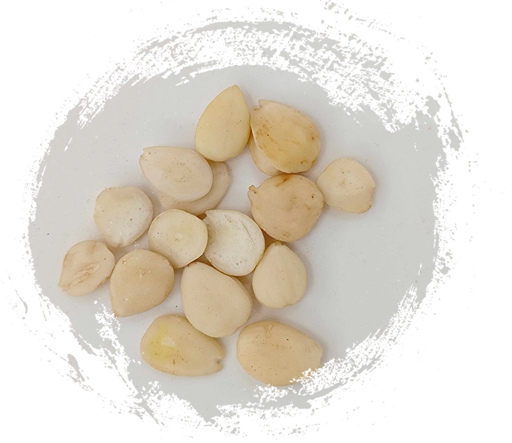 Integrar plantas de la medicina tradicional china en su rutina de bienestar: consejos prácticos y beneficios