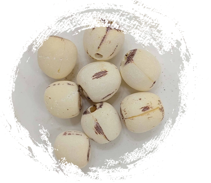 Semilla de loto (Liánzǐ)