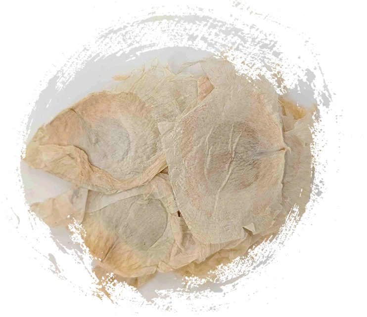 Corteza de árbol de mariposa (mù húdié)