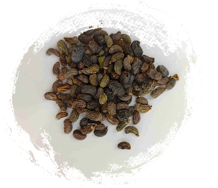 Fruta ligustrum (nǚzhēnzǐ)