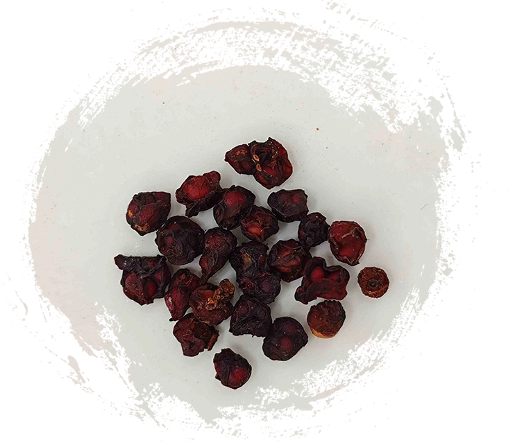 Schisandra Fruit (Wǔwèizǐ):