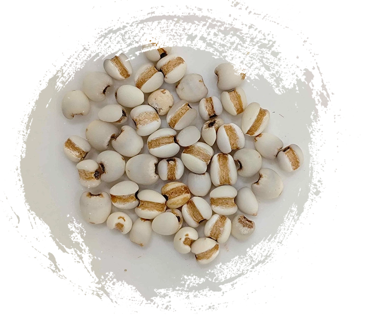 Semilla de coix (yìyǐrén)