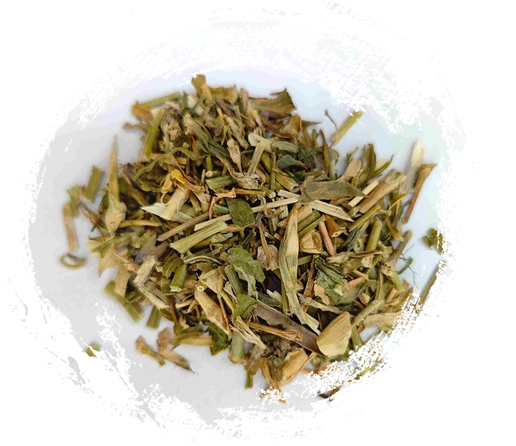 Bellflower chino (Qúmài)