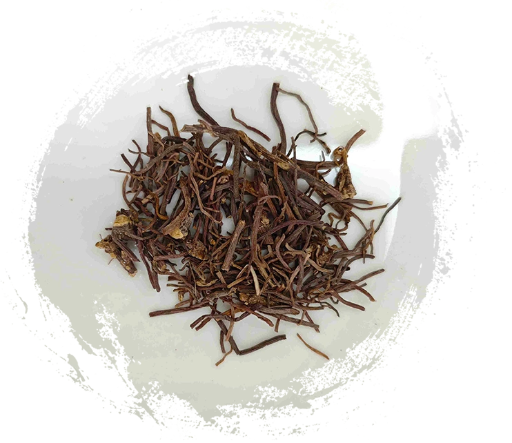 Guía esencial de la medicina tradicional china vegetal: características, funciones y soluciones holísticas