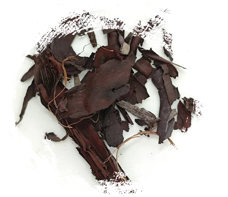 Cómo funciona la medicina herbal china: principios, mecanismos y aplicaciones prácticas