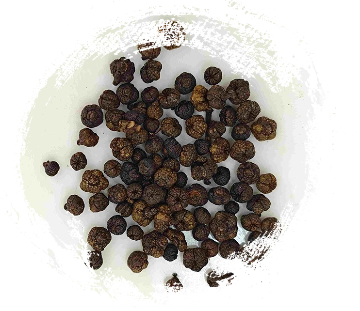 Fruit de Evodia procesado (Zhì Wúzhūyú)