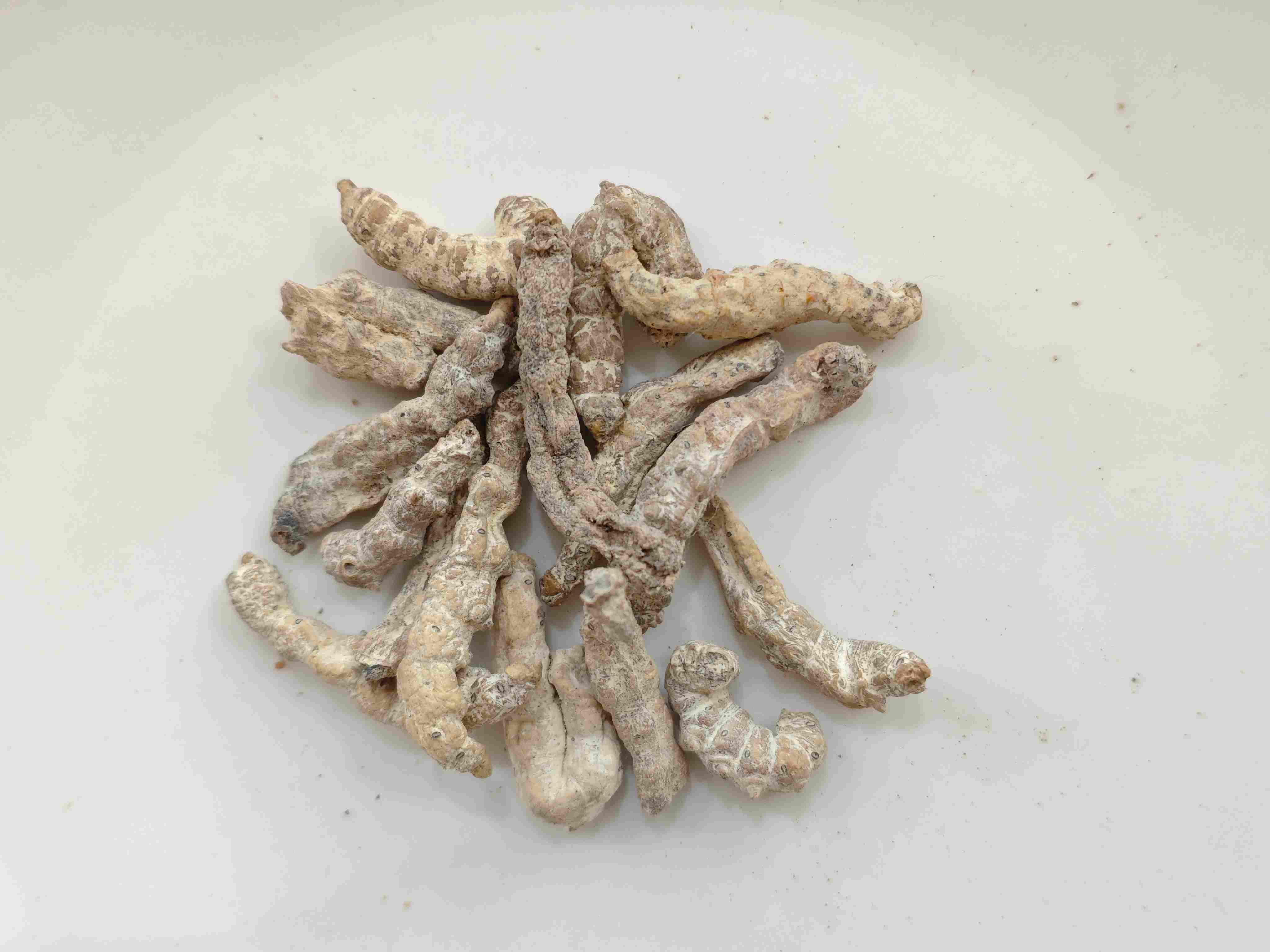 Rigor de seda (Jiāngcán)